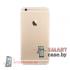 Корпус (задняя крышка) iPhone 6 Plus (Золото, Gold)