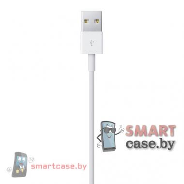 Кабель Lighting / USB 2 метра для iPhone 5/6/7 (MD819ZM/A)