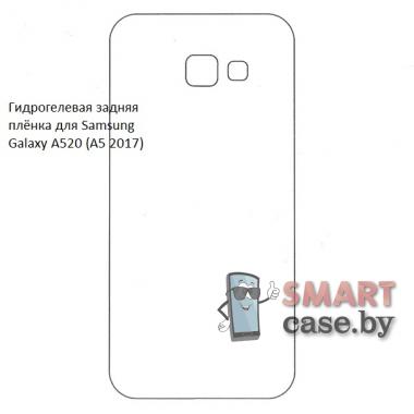 Гидрогелевая задняя плёнка для Samsung Galaxy A520 (A5 2017)