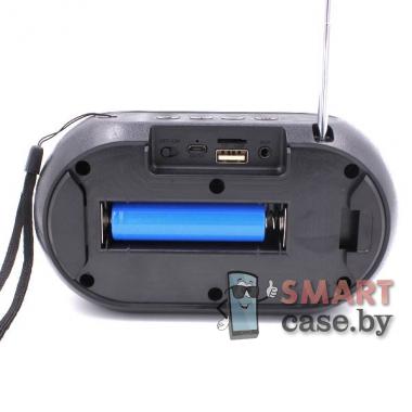 Портативная колонка Profit C20 Bluetooth + FM + USB + TF Card (Чёрная)